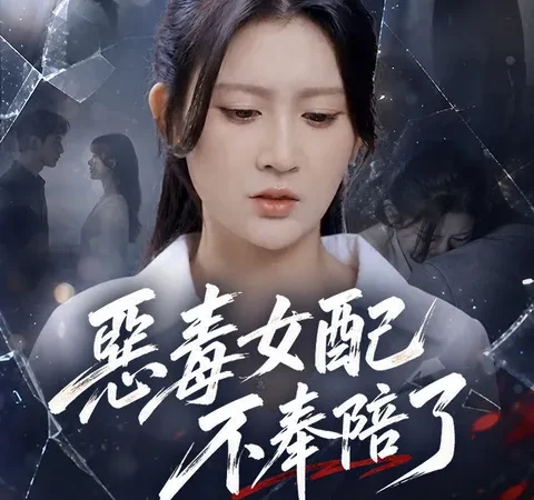 惡毒女配不奉陪了 poster