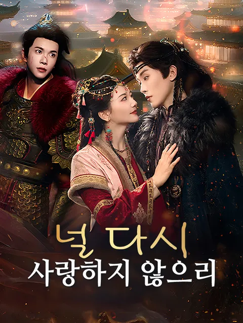널 다시 사랑하지 않으리 poster