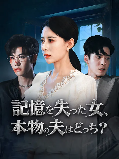 記憶を失った女、本物の夫はどっち？ poster