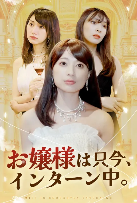 お嬢様は只今、インターン中。 poster