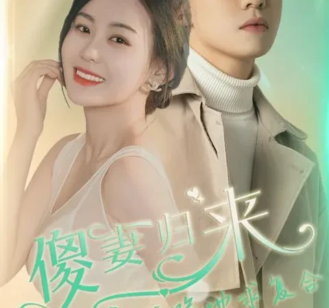 傻妻归来秦爷跪地求复合 poster