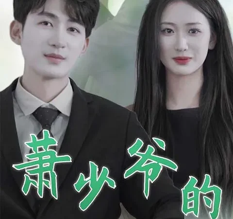 Watch 萧少爷的隐婚娇妻 Free on TopShort – Full Episodes Guide poster