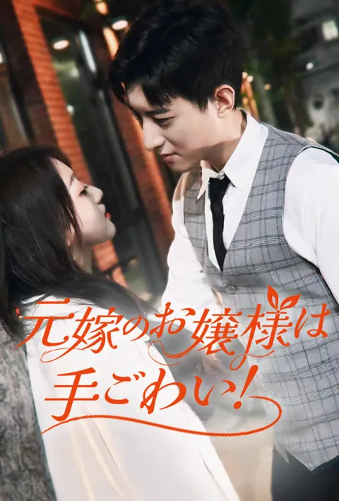 元嫁のお嬢様は手ごわい！ poster