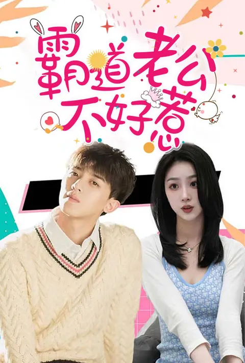 霸道老公不好惹 poster