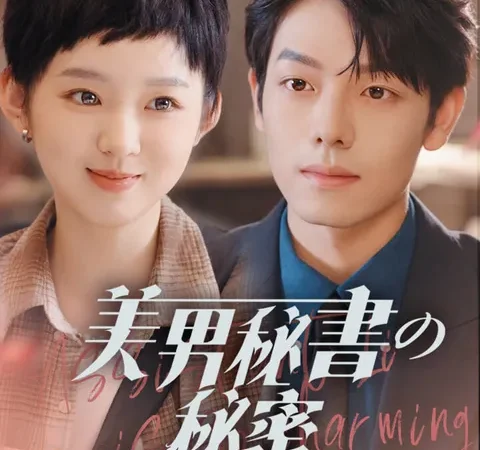 美男秘書の秘密 poster