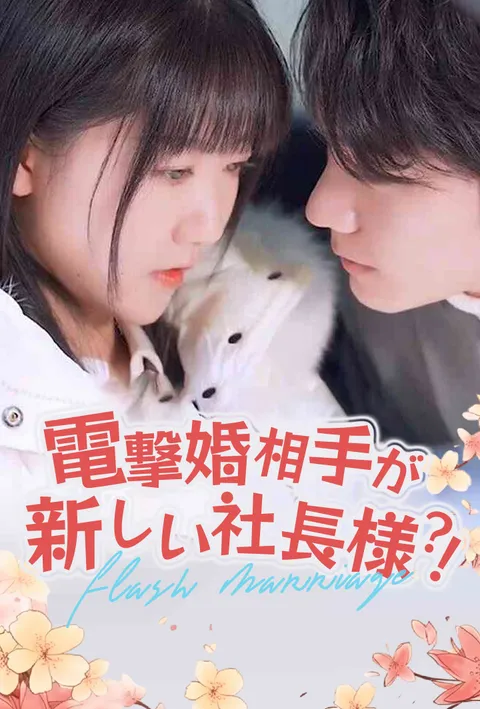 電撃婚相手が新しい社長様?! poster