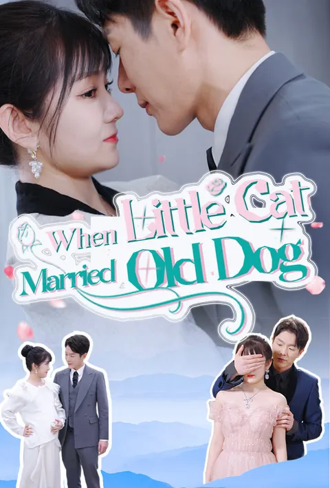 When Little Cat Married Old Dog poster