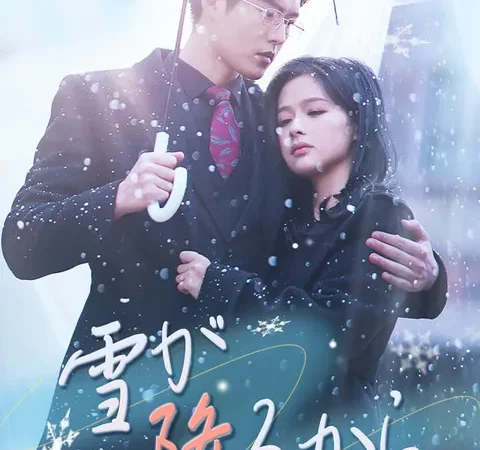雪が降るから poster