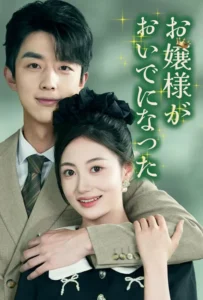お嬢様がおいでになった poster