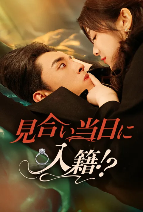 見合い当日に入籍!? poster