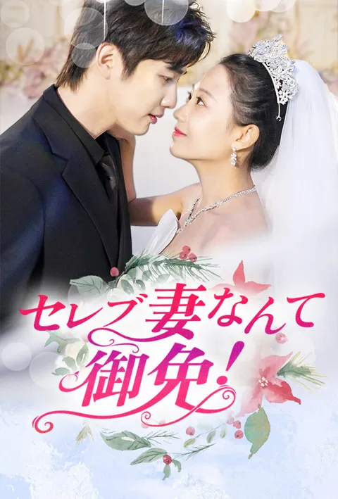 セレブ妻なんて御免！ poster