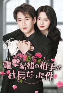 電撃結婚の相手が社長だった件 poster