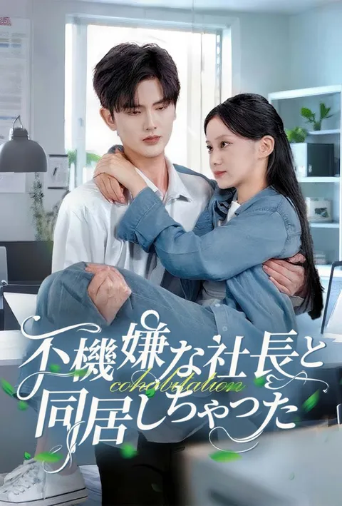 不機嫌な社長と同居しちゃった poster