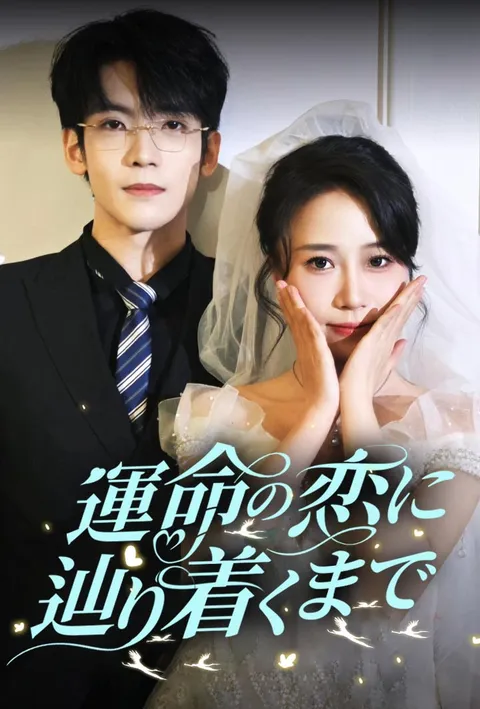 運命の恋に辿り着くまで poster