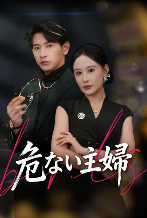 危ない主婦 poster