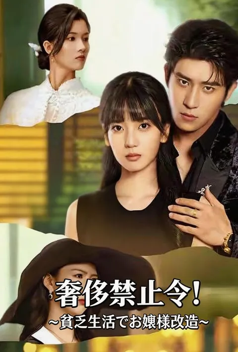 奢侈禁止令！～貧乏生活でお嬢様改造～ poster